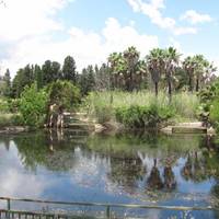 Riserva Naturale fiume Ciane