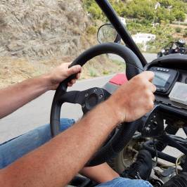 Buggy Tours