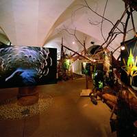 Naturmuseum Sudtirol