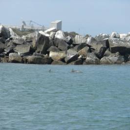 Koombana Bay