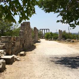 Ancient city of Diocaesarea-Olba