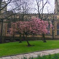 Blackburn Cathedral