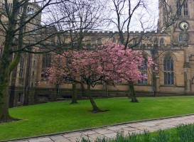 Blackburn Cathedral