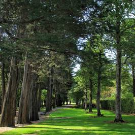 Queens Park