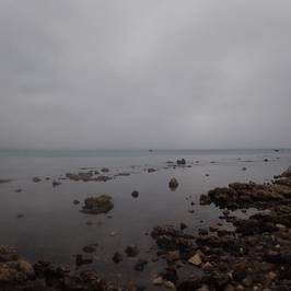 Kaikoura Peninsula Walkway