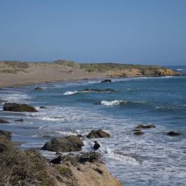 Coastal Discovery Center at San Simeon Bay (Monterey Bay National Marine Sanctuary)