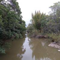 Lowveld National Botanical Garden