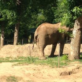 Zoo Sosto