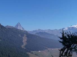 Torgnon