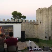 Rocca del Leone