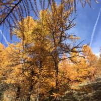 Parco Naturale Val Troncea