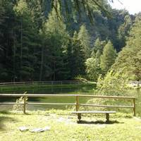 Parco Naturale del Gran Bosco di Salbertrand