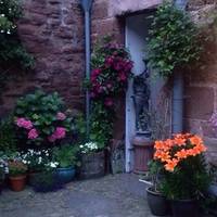 Courtyard Gallery