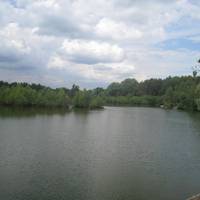 Wetlands Animal Park