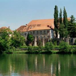 Dominican Monastery (Dominikanski samostan)