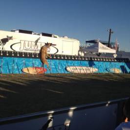 Riverside County Fairgrounds