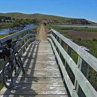 Christchurch to Little River Railtrail