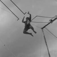 Action World