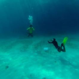 Watercolours Dive Centre
