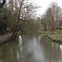 Abbey Meadows