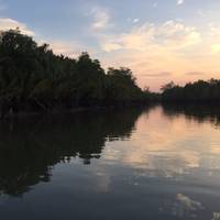 Kuching Wetlands National Park