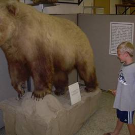 Werner Wildlife Museum