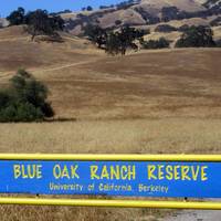 Blue Oak Ranch Reserve