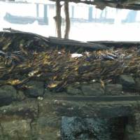 Bakau Fish Market