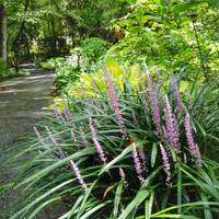 Hatcher Garden & Woodland Preserve