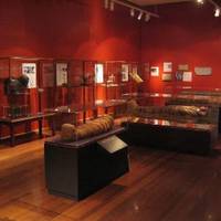 Nicholson Museum