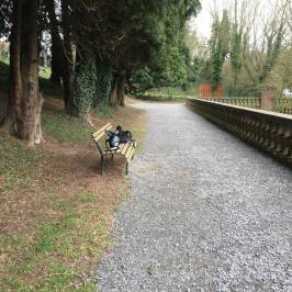 Jardin Public de Saint-Omer