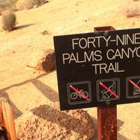 Fortynine Palms Oasis Trail