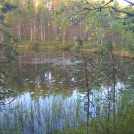Luonnollisesti Oulujarvi