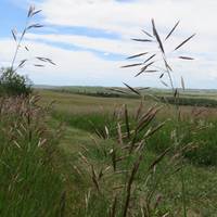 Ann and Sandy Cross Conservation Area