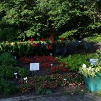 Rutgers Gardens