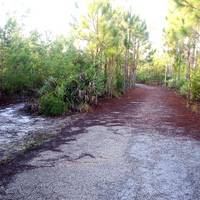 Spruce Bluff Preserve