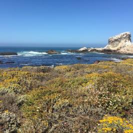 Piedras Blancas Light Station