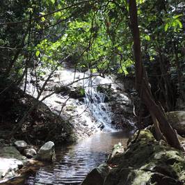 Raba Lake