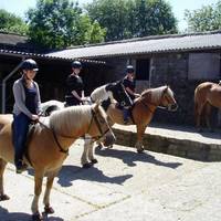 Tor Royal Stables