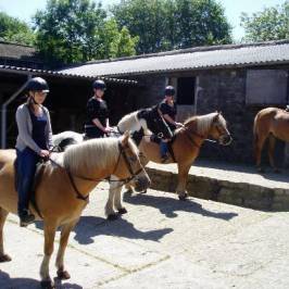 Tor Royal Stables