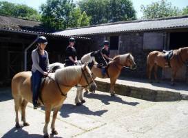 Tor Royal Stables