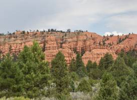 Red Canyon
