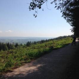 Haldon Forest Park