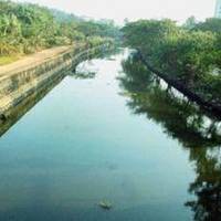 Canolly Canal
