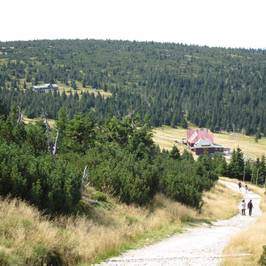 Bieg Piastow