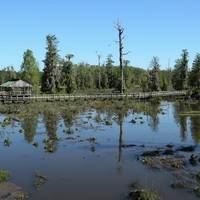 Phinizy Swamp Nature Park