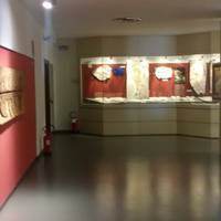 Museo dei Fossili di Bolca - Verona