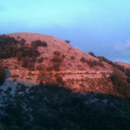 Monte Semprevisa