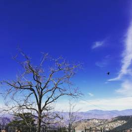 Shimla Christ Church