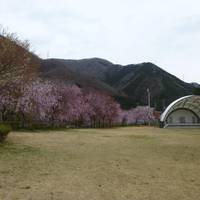Kinugawa Park